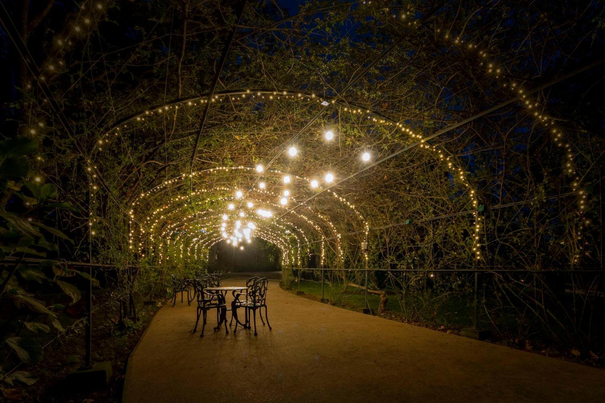 Boeira Garden Hotel Porto Gaia, Curio Collection By Hilton Vila Nova de Gaia Esterno foto The Pergola at night
